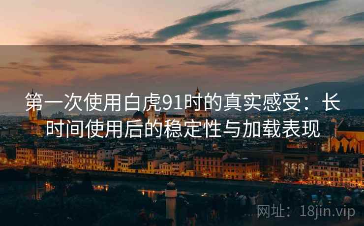 第一次使用白虎91时的真实感受：长时间使用后的稳定性与加载表现