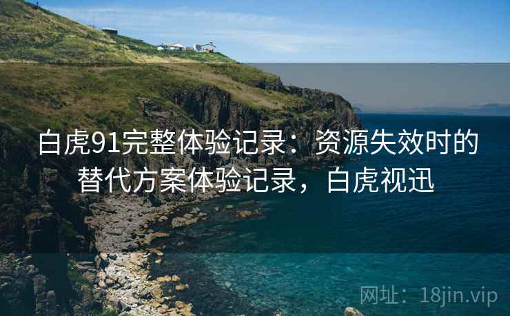 白虎91完整体验记录：资源失效时的替代方案体验记录，白虎视迅