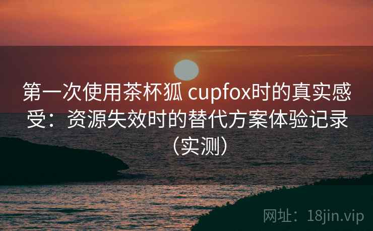 第一次使用茶杯狐 cupfox时的真实感受：资源失效时的替代方案体验记录（实测）