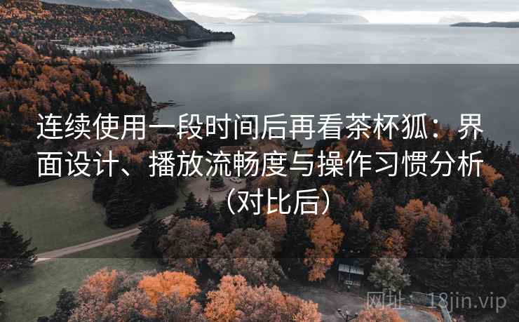 连续使用一段时间后再看茶杯狐：界面设计、播放流畅度与操作习惯分析（对比后）