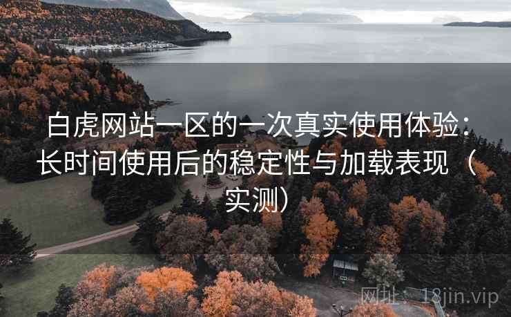 白虎网站一区的一次真实使用体验：长时间使用后的稳定性与加载表现（实测）