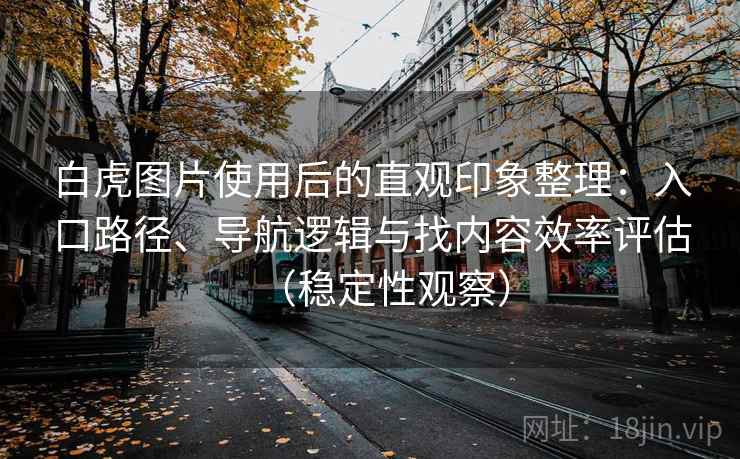 白虎图片使用后的直观印象整理：入口路径、导航逻辑与找内容效率评估（稳定性观察）