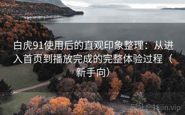 白虎91使用后的直观印象整理：从进入首页到播放完成的完整体验过程（新手向）
