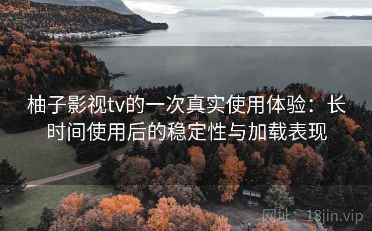 柚子影视tv的一次真实使用体验：长时间使用后的稳定性与加载表现