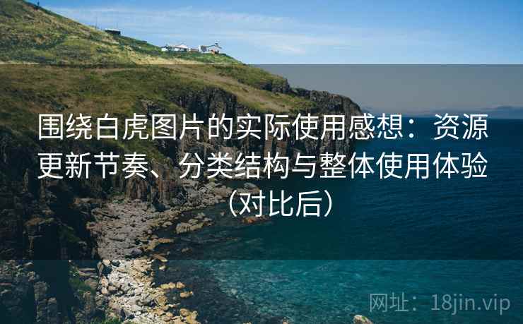 围绕白虎图片的实际使用感想：资源更新节奏、分类结构与整体使用体验（对比后）
